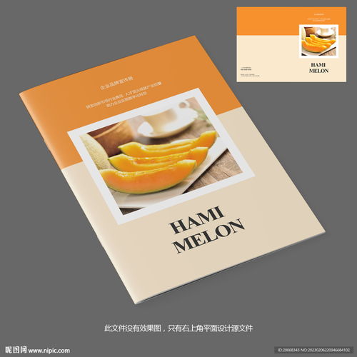 甜蜜之約 哈密瓜產(chǎn)品宣傳畫冊封面設計